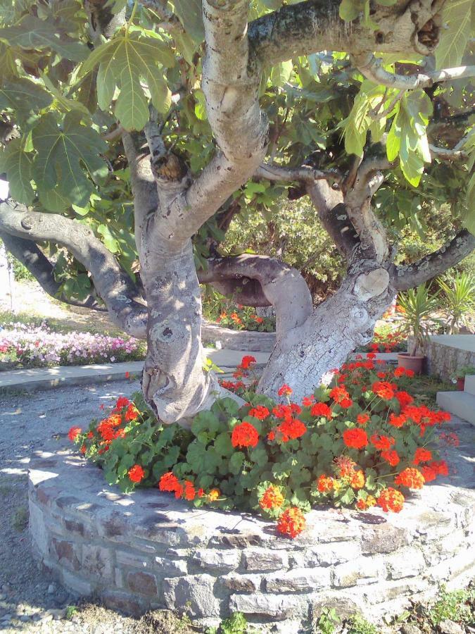 Agios Ioannis KaspakaEnalion House别墅 外观 照片